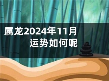 属龙2024年11月运势如何呢