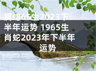 属蛇65生2023下半年运势 1965生肖蛇2023年下半年运势