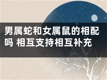 男属蛇和女属鼠的相配吗 相互支持相互补充