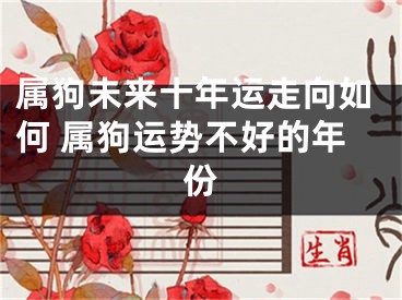 属狗未来十年运走向如何 属狗运势不好的年份