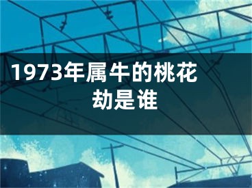 1973年属牛的桃花劫是谁