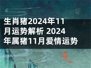 生肖猪2024年11月运势解析 2024年属猪11月爱情运势