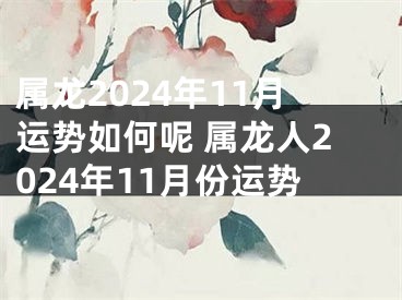 属龙2024年11月运势如何呢 属龙人2024年11月份运势