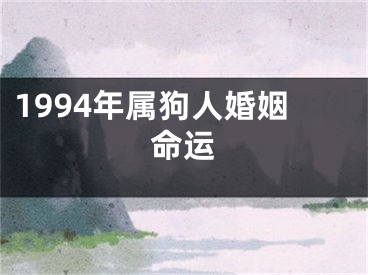 1994年属狗人婚姻命运
