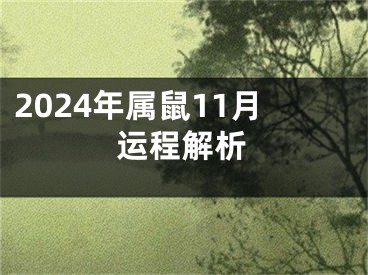 2024年属鼠11月运程解析
