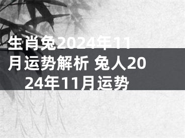 生肖兔2024年11月运势解析 兔人2024年11月运势