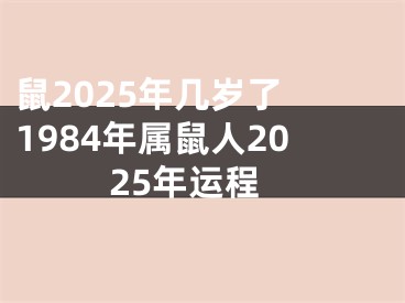 鼠2025年几岁了 1984年属鼠人2025年运程