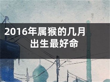 2016年属猴的几月出生最好命