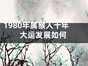 1980年属猴人十年大运发展如何