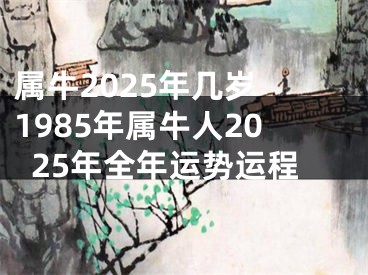 属牛2025年几岁 1985年属牛人2025年全年运势运程