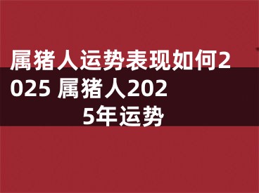 属猪人运势表现如何2025 属猪人2025年运势