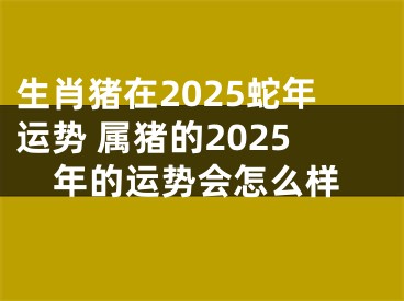 生肖猪在2025蛇年运势 属猪的2025年的运势会怎么样