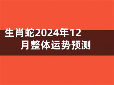 生肖蛇2024年12月整体运势预测