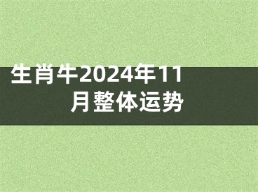 生肖牛2024年11月整体运势