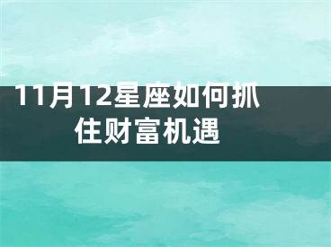11月12星座如何抓住财富机遇 