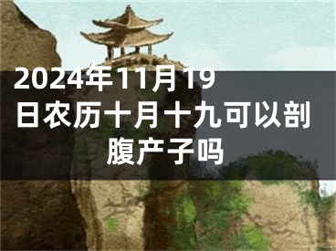 2024年11月19日农历十月十九可以剖腹产子吗