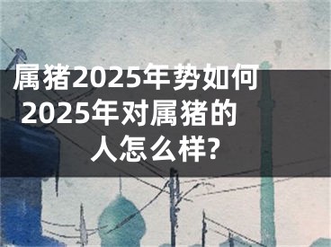 属猪2025年势如何 2025年对属猪的人怎么样?