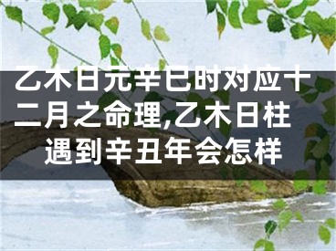 乙木日元辛巳时对应十二月之命理,乙木日柱遇到辛丑年会怎样