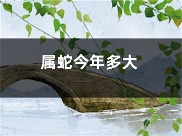 属蛇今年多大