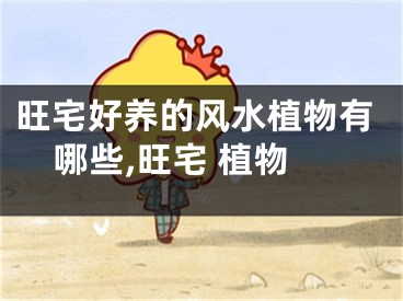 旺宅好养的风水植物有哪些,旺宅 植物