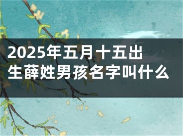 2025年五月十五出生薛姓男孩名字叫什么