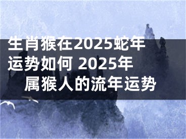 生肖猴在2025蛇年运势如何 2025年属猴人的流年运势