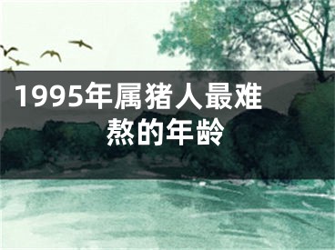 1995年属猪人最难熬的年龄
