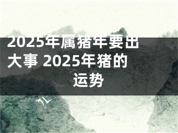 2025年属猪年要出大事 2025年猪的运势