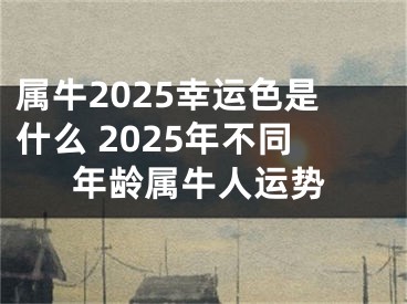属牛2025幸运色是什么 2025年不同年龄属牛人运势