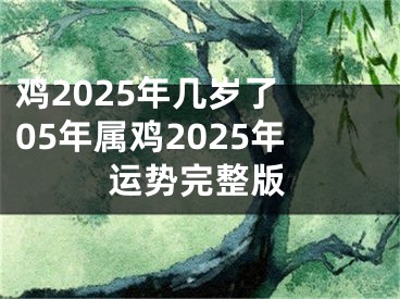 鸡2025年几岁了 05年属鸡2025年运势完整版