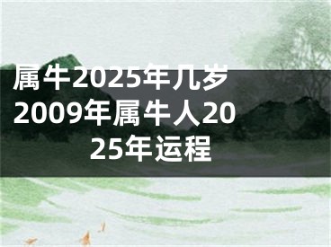 属牛2025年几岁 2009年属牛人2025年运程