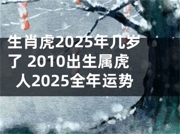 生肖虎2025年几岁了 2010出生属虎人2025全年运势