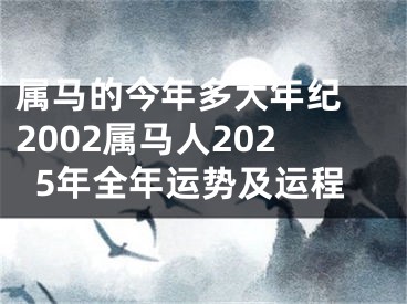 属马的今年多大年纪 2002属马人2025年全年运势及运程