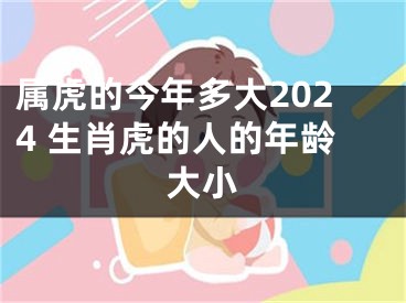 属虎的今年多大2024 生肖虎的人的年龄大小