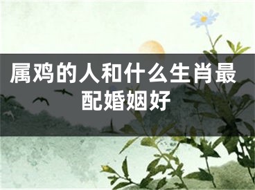 属鸡的人和什么生肖最配婚姻好