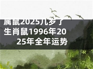 属鼠2025几岁了 生肖鼠1996年2025年全年运势