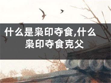 什么是枭印夺食,什么枭印夺食克父