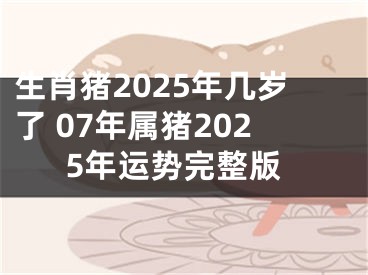 生肖猪2025年几岁了 07年属猪2025年运势完整版