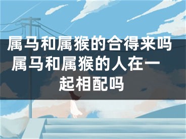 属马和属猴的合得来吗 属马和属猴的人在一起相配吗