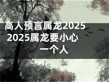 高人预言属龙2025 2025属龙要小心一个人
