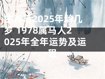 生肖马2025年龄几岁 1978属马人2025年全年运势及运程