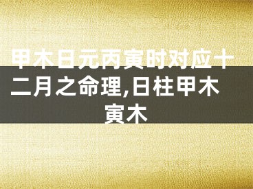 甲木日元丙寅时对应十二月之命理,日柱甲木寅木