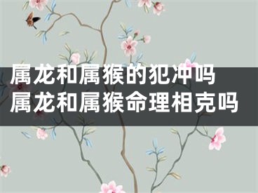 属龙和属猴的犯冲吗 属龙和属猴命理相克吗