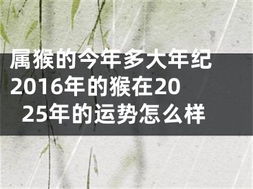 属猴的今年多大年纪 2016年的猴在2025年的运势怎么样