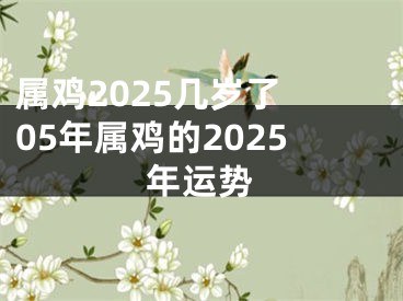 属鸡2025几岁了 05年属鸡的2025年运势