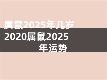 属鼠2025年几岁 2020属鼠2025年运势