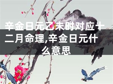 辛金日元乙未时对应十二月命理,辛金日元什么意思
