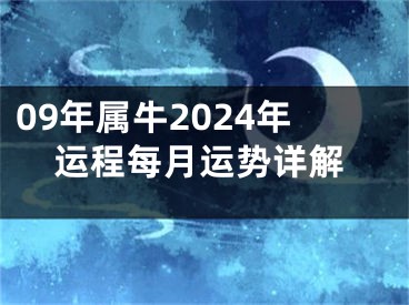 09年属牛2024年运程每月运势详解