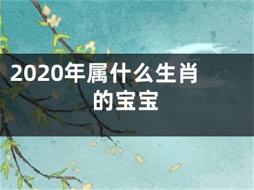 2020年属什么生肖的宝宝