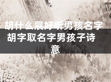 胡什么展好听男孩名字 胡字取名字男孩子诗意